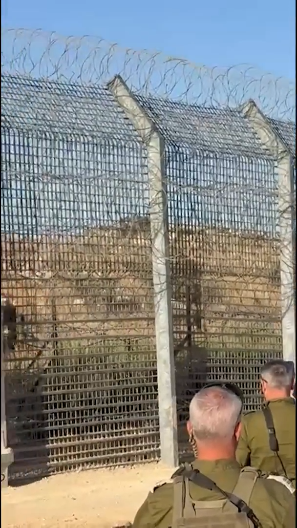 ןעוט... ןעוט...