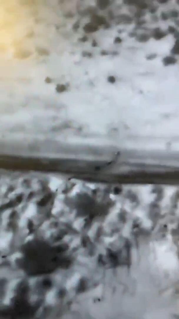 לבדיקה בלבד-לא לשימוש