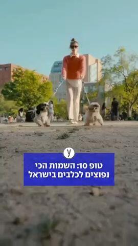 טופ 10: השמות הכי נפוצים לכלבים בישראל