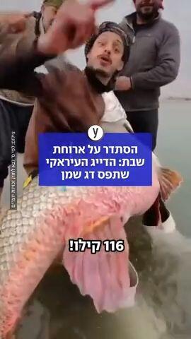 דייג עיראקי 