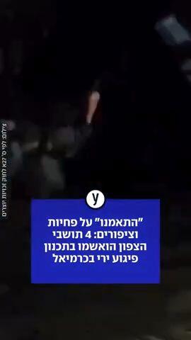 "התאמנו" על פחיות וציפורים: 4 תושבי הצפון הואשמו בתכנון פיגוע ירי בכרמיאל
