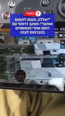  הברחת הסחורות לרצועת עזה