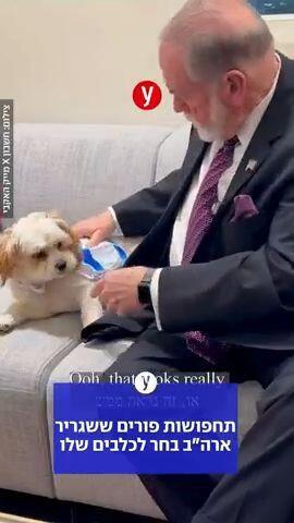 תחפושות פורים ששגריר ארה:ב מייק האקבי בחר לכלבים שלו