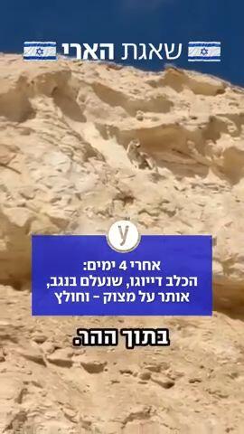 אחרי 4 ימים: הכלב דייוגו, שנעלם בנגב, אותר על מצוק - וחולץ