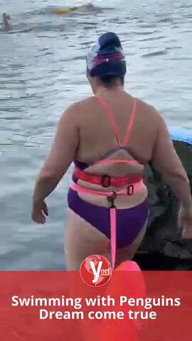 Swimming with penguins  Dream come true