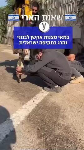 שחקנים מפורסמים בעולם הערבי ספדו למתאם הפעלולים מוחמד עלי פחס