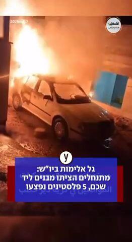 גל אלימות ביוש