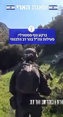 פעילות צה"ל בהר דב בלבנון