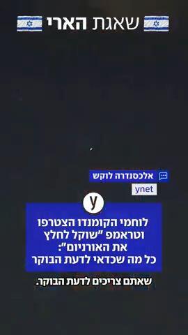סיכום הלילה של אלכסה לוקש