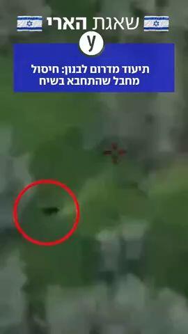 חיסול מחבל שהסתתר בשיחים