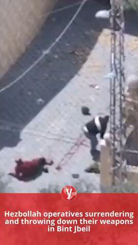 Hezbollah operatives surrendering