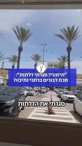  "תיזהרי! סגרתי דלתות": מכת דבורים ברחבי נתיבות