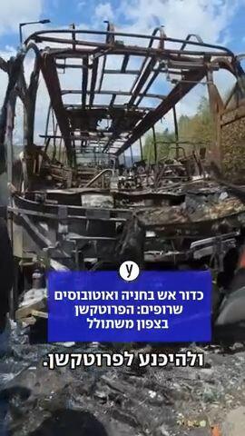 הפרוטקשן בצפון משתולל