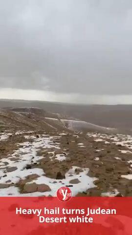 Heavy hail turns Judean Desert white