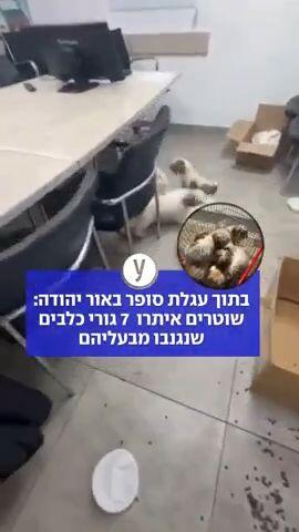 7 כלבים נגנבו ואותרו על ידי המשטרה