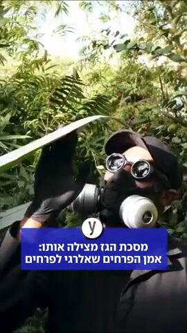 מסכת הגז מצילה אותו: אמן הפרחים שאלרגי לפרחים