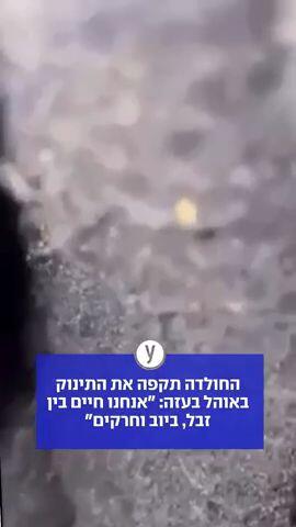 החולדה תקפה את התינוק באוהל בעזה