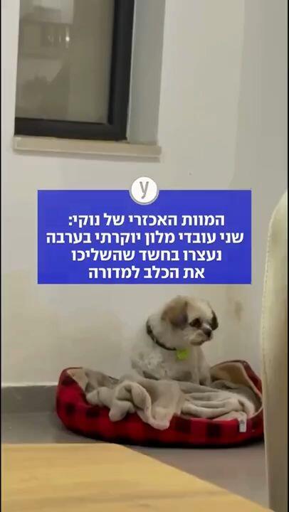 שני עובדים באחד המלונות היוקרתיים בארץ נעצרו בחשד שהשליכו בל"ג בעומר את הכלב נוקי למדורה בעודו בחיים
