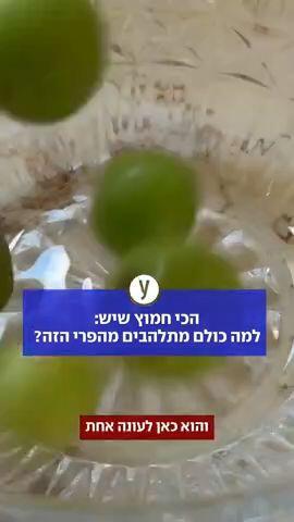 הכי חמוץ שיש: למה כולם מתלהבים מהפרי הזה?