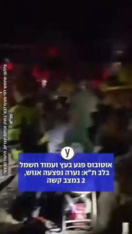 אוטובוס פגע בעץ בלב תא