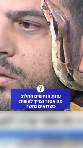 עונת הנחשים החלה: מה אסור וצריך לעשות כשרואים נחש?