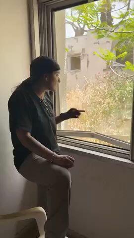 ןעוט... ןעוט...
