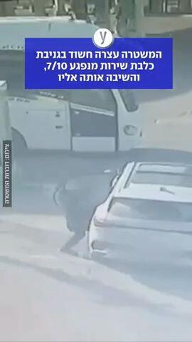 המשטרה עצרה חשוד בגניבת כלבת שירות מנפגע 7/10, והשיבה אותה אליו