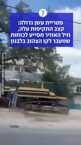 פטריית עשן בלבנון