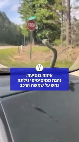 אימה בנסיעה: נהגת ממיסיסיפי גילתה נחש על שמשת הרכב