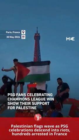 Palestinian flags in france vertical