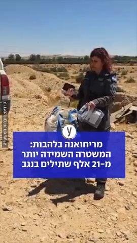 המשטרה השמידה יותר מ-21 אלף שתילים בנגב