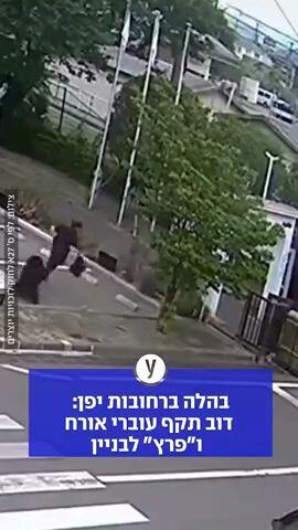 דוב תקף עוברי אורח ביפן