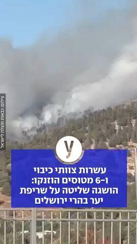 עשרות צוותי כיבוי ו-6 מטוסים הוזנקו: הושגה שליטה על שריפת יער בהרי ירושלים