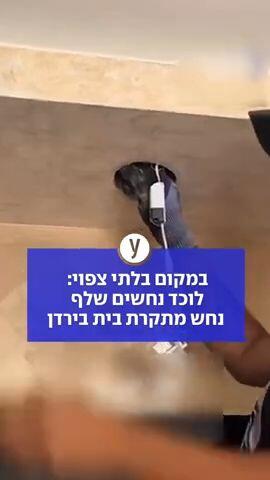 במקום בלתי צפוי: לוכד נחשים שלף נחש מתקרת בית בירדן