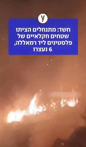 חשד: מתנחלים הציתו שטחים חקלאיים של פלסטינים ליד רמאללה, 6 נעצרו
