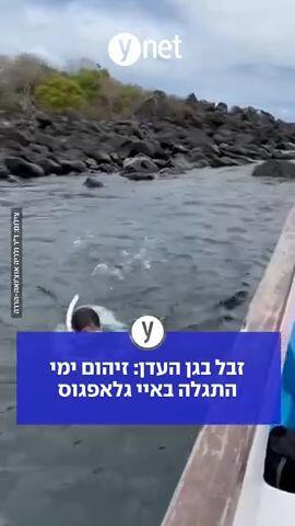 זבל בגן עדן: זיהום ימי התגלה באיי גלאפגוס