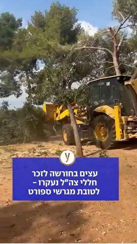 "כחול: עצים בחורשה לזכר חללי צה""ל נעקרו - לטובת מגרשי ספורט  