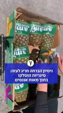 ניסיון הברחה חריג לעזה 
