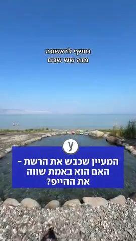 המעיין שכבש את הרשת – האם הוא באמת שווה את ההייפ?