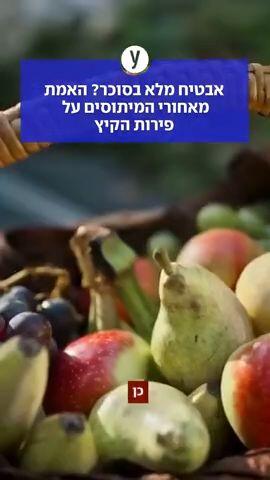 אבטיח מלא בסוכר? האמת מאחורי המיתוסים על פירות הקיץ