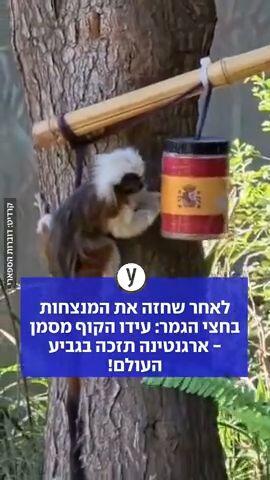 לאחר שחזה את המנצחות בחצי הגמר: עידו הקוף מסמן - ארגנטינה תזכה בגביע העולם!