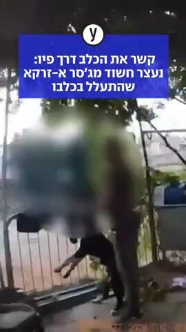קשר את הכלב דרך פיו: נעצר חשוד מג'סר א-זרקא שהתעלל בכלבו