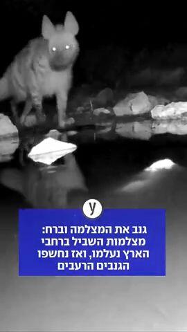 גנב את המצלמה וברח:  מצלמות השביל ברחבי  הארץ נעלמו, ואז נחשפו  הגנבים הרעבים