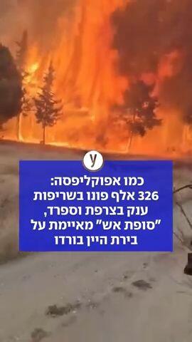 שריפת ענק בצרפת וספרד
