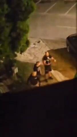 Neo-Nazis outside the hotel&nbsp;