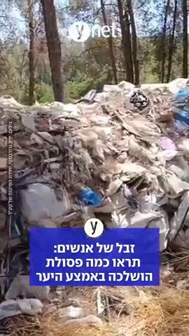 זבל של אנשים: תראו כמה פסולת הושלכה באמצע היער