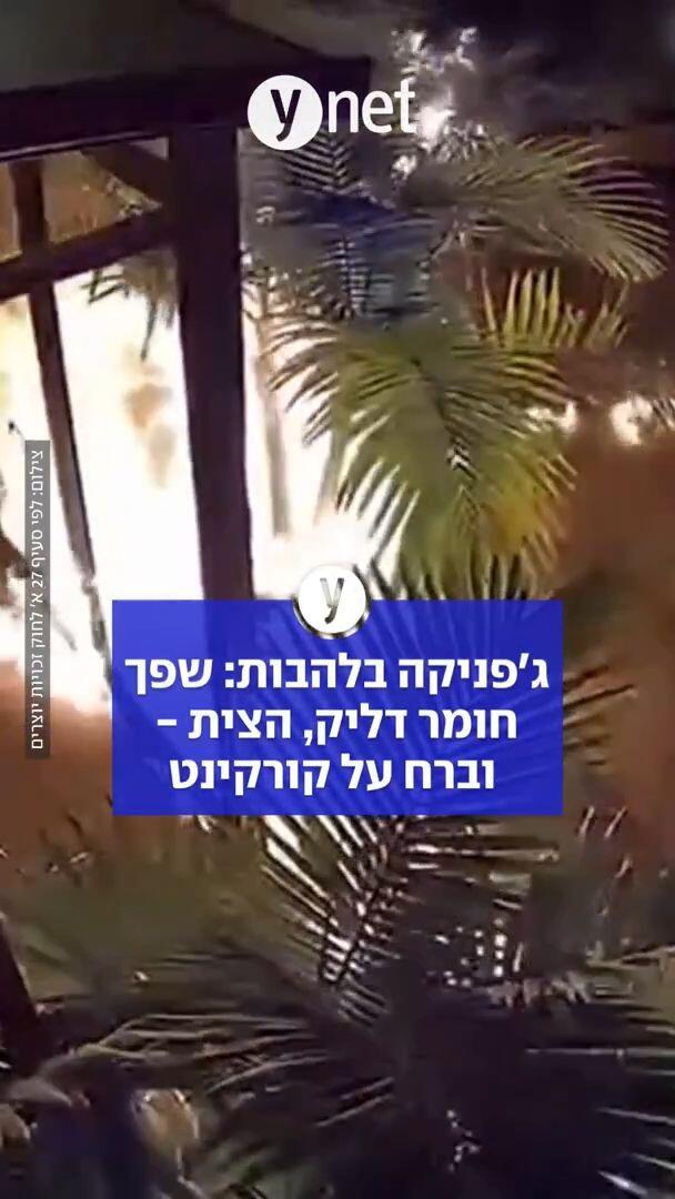 ג'פניקה בלהבות: שפך חומר דליק, הצית - וברח על קורקינט 