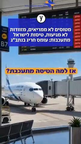 מטוסים לא ממריאים, מזוודות לא מגיעות, טיסות לישראל מתעכבות: עומס חריג בנתב"ג