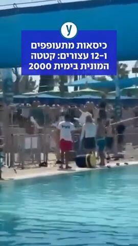 כיסאות מתעופפים ו-12 עצורים: קטטה המונית בימית 2000