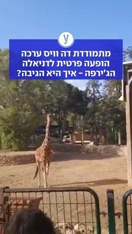 מתמודדת דה וויס ערכה הופעה פרטית לדניאלה הג'ירפה - איך היא הגיבה?